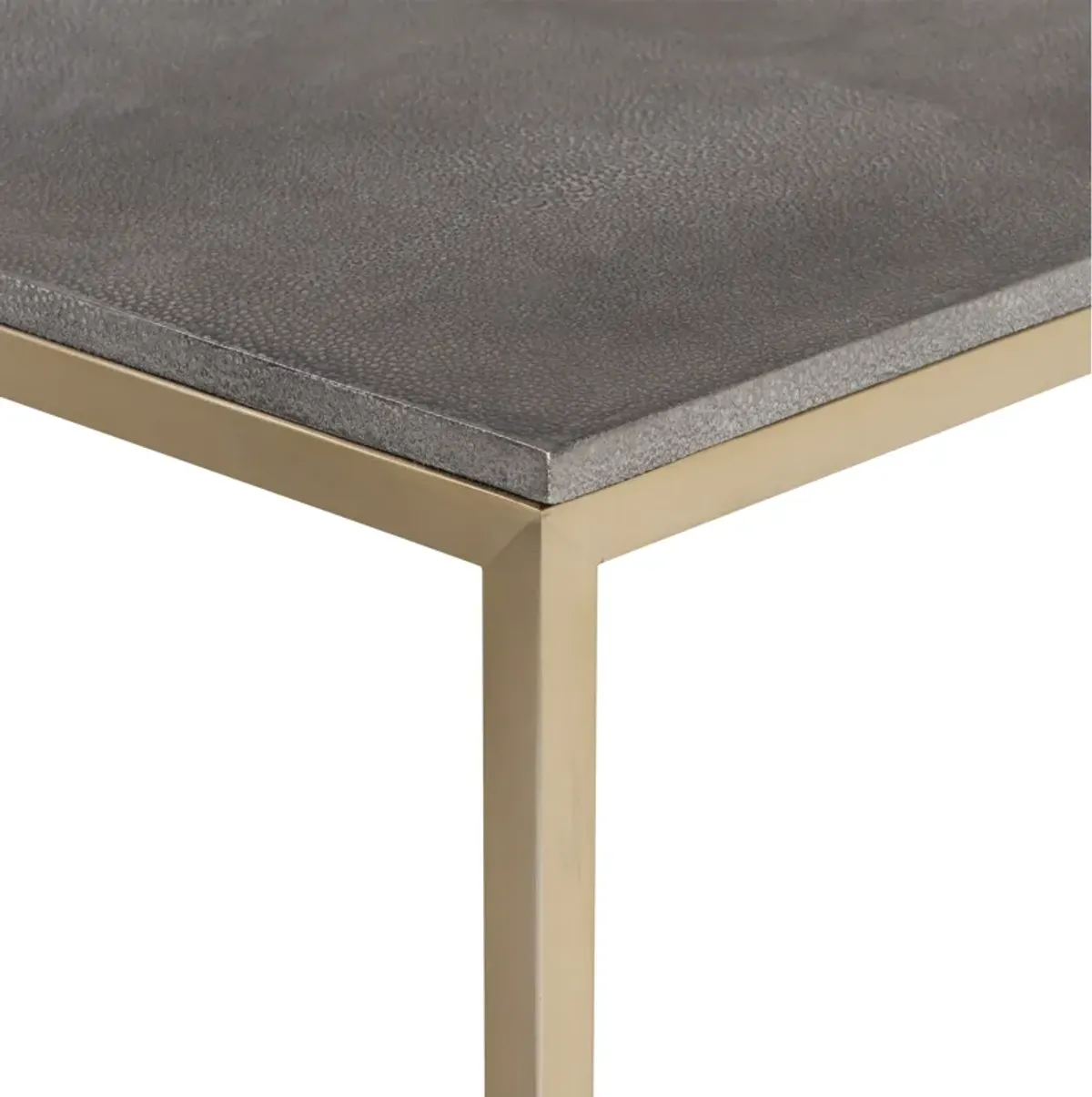 Trebon Modern Coffee Table