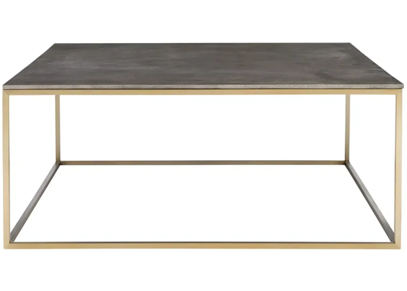 Trebon Modern Coffee Table