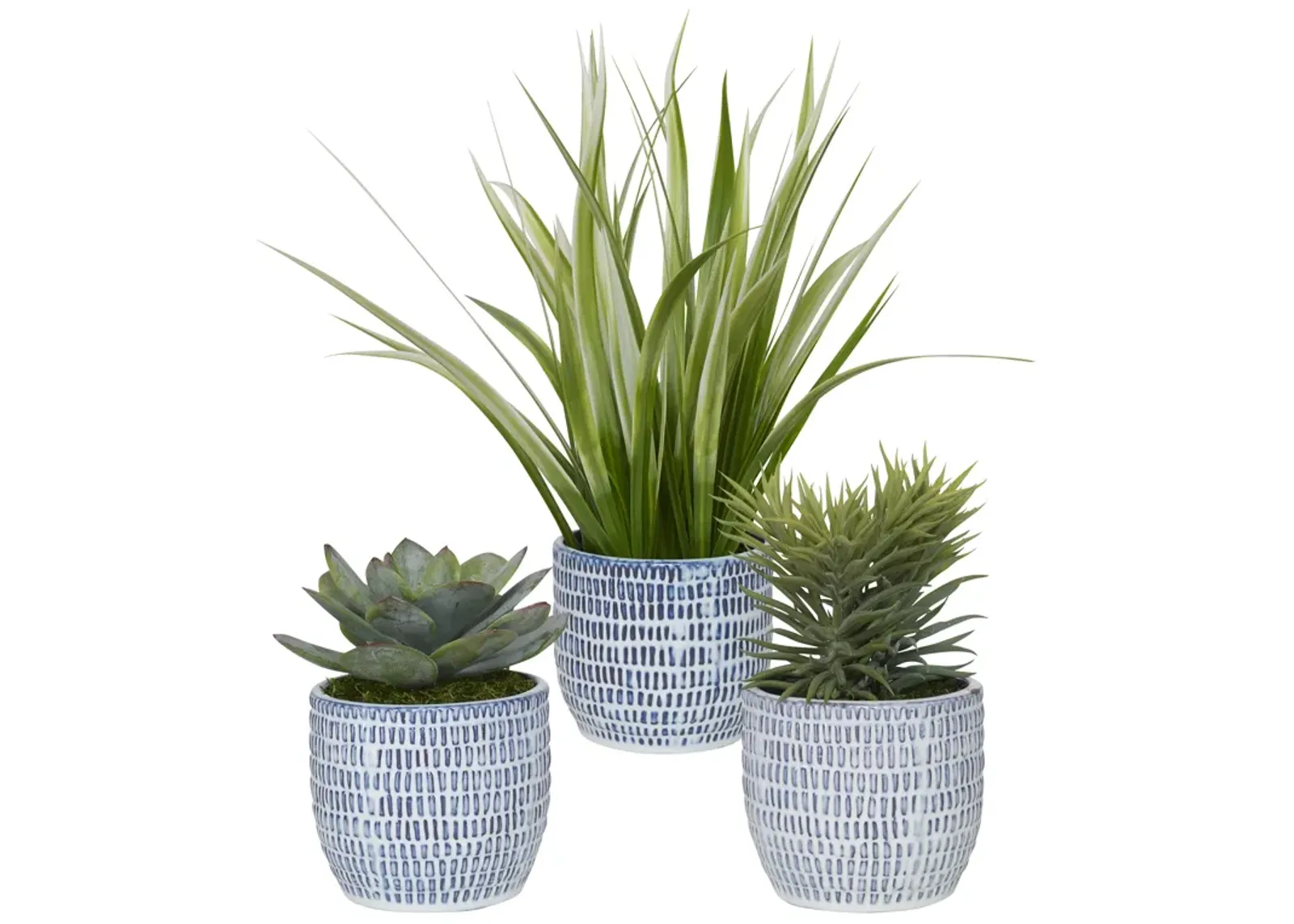 Puebla Greenery In Blue & White Pots, S/3