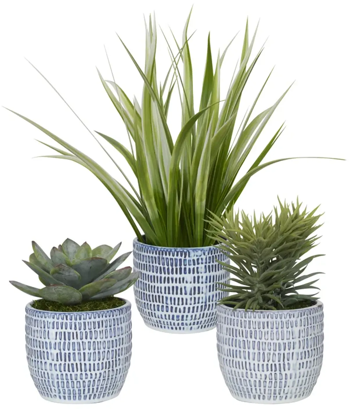 Puebla Greenery In Blue & White Pots, S/3