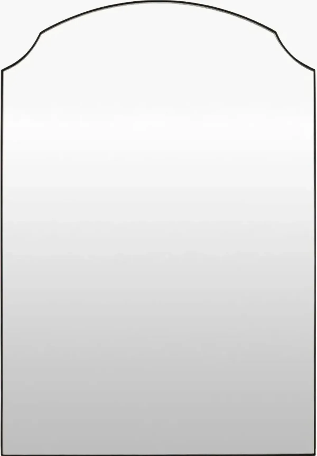 Landon 35"H x 24"W x 1"D Accent Mirror