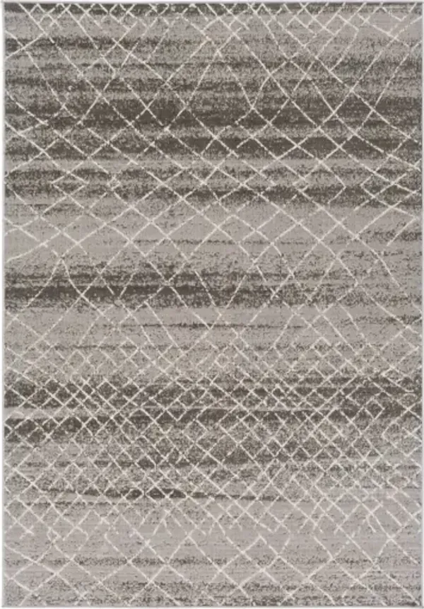 Rafetus 5'3" x 7'7" Rug