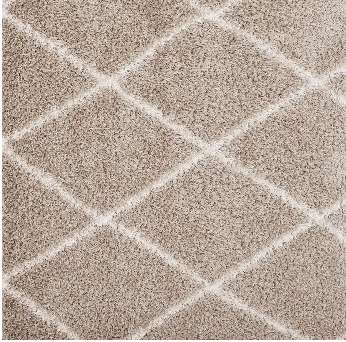 Toryn Diamond Lattice 5x8 Shag Area Rug