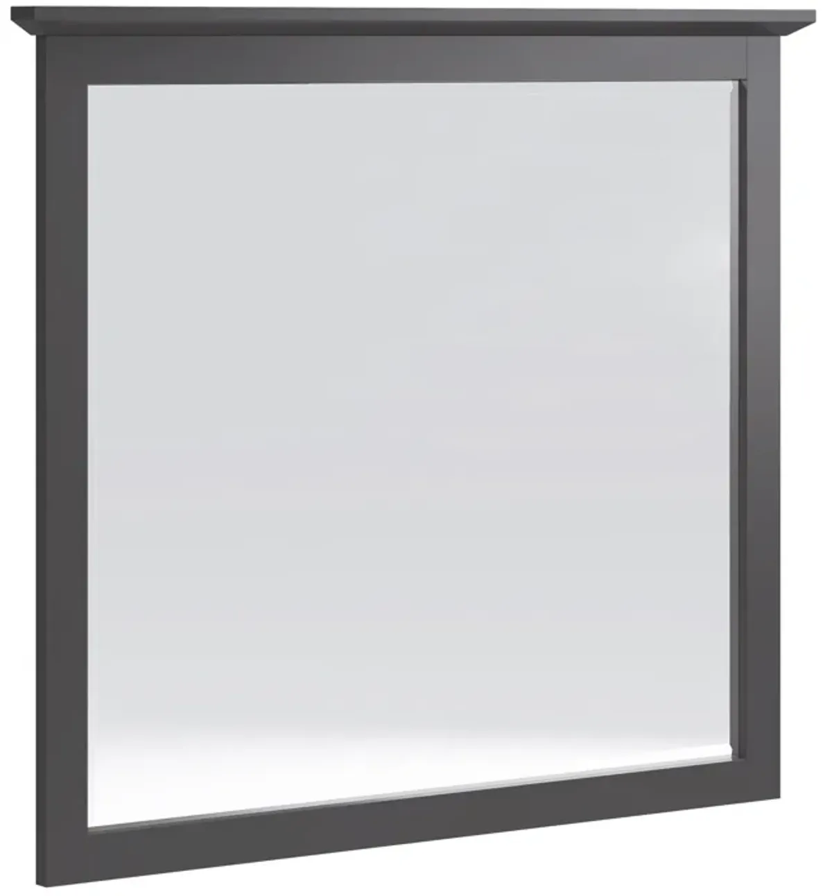 Grace Wall or Dresser Mirror in Raven Black