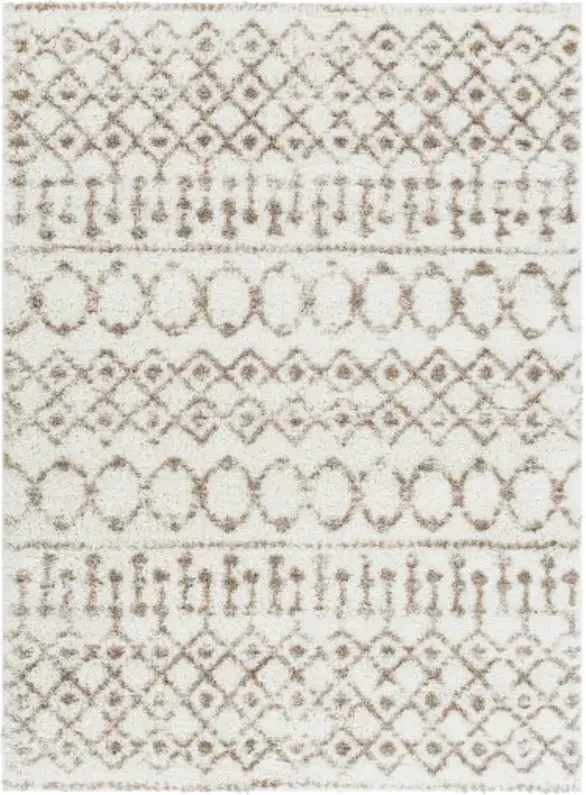 Aliyah shag 6'7" x 9' Rug