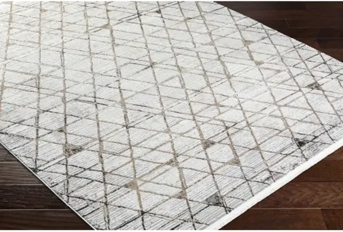 Obsession OBN-2302 2' x 2'11" Machine Woven Rug