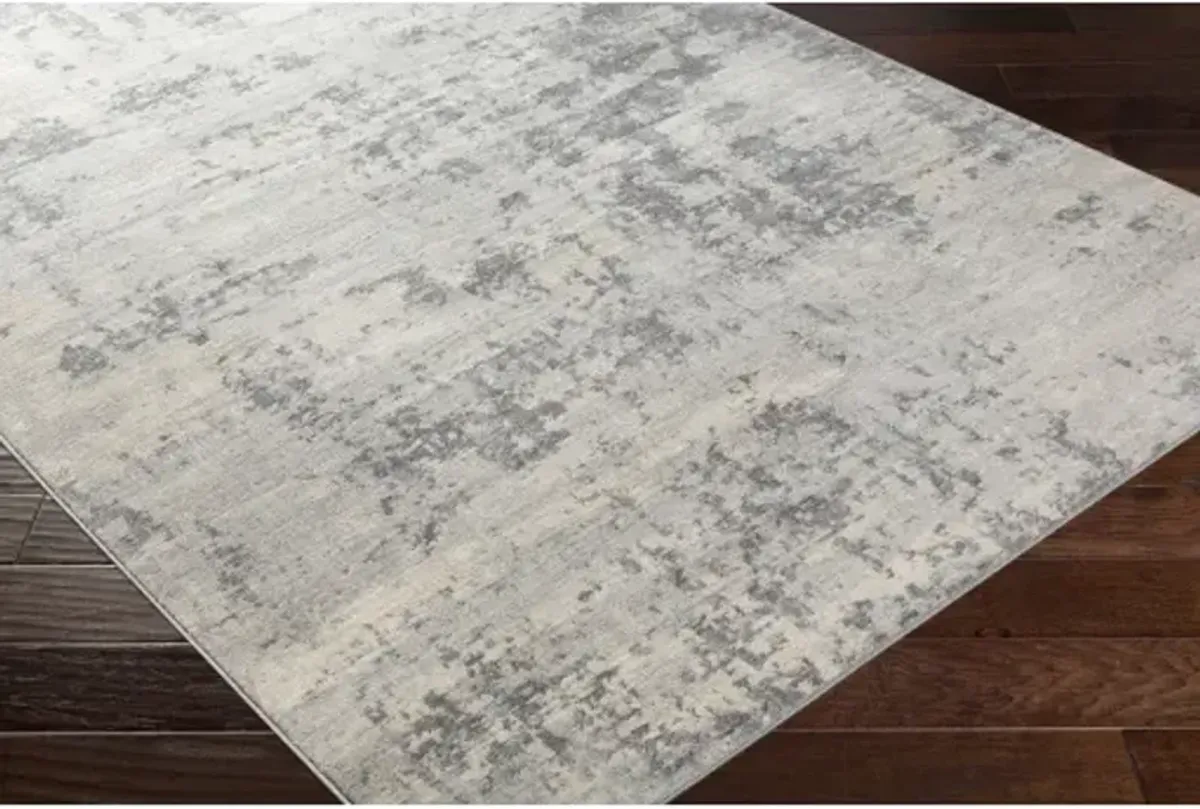 Monaco 5'3" x 7'3" Rug