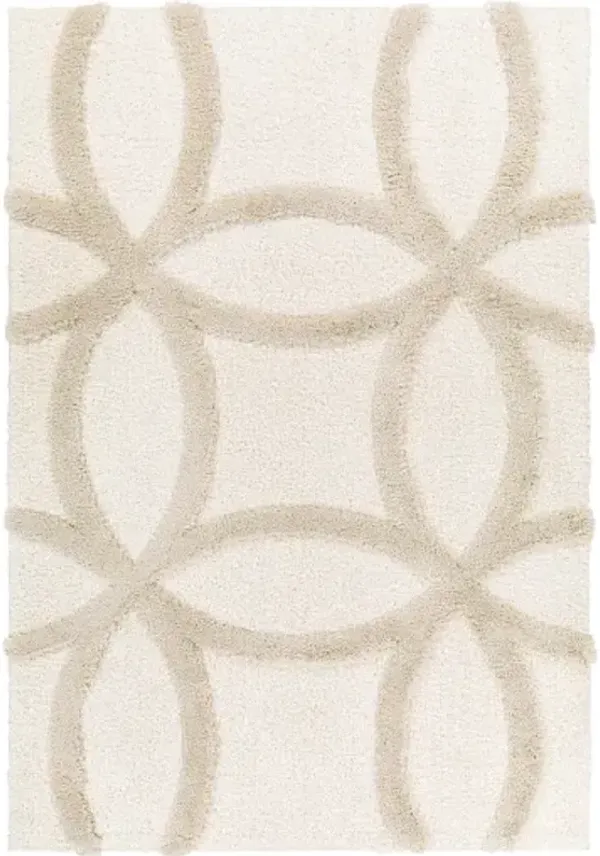 Hudson shag 5'3" x 7' Rug