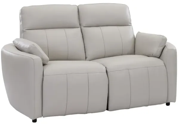Cheers by Man Wah Fog Leather Power Reclining Loveseat