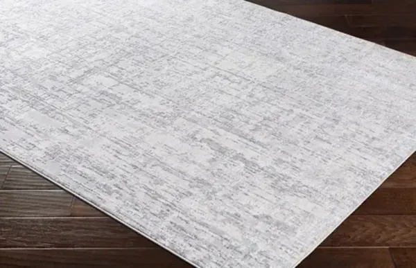 Surya Aisha Light Gray 5'x7' Area Rug