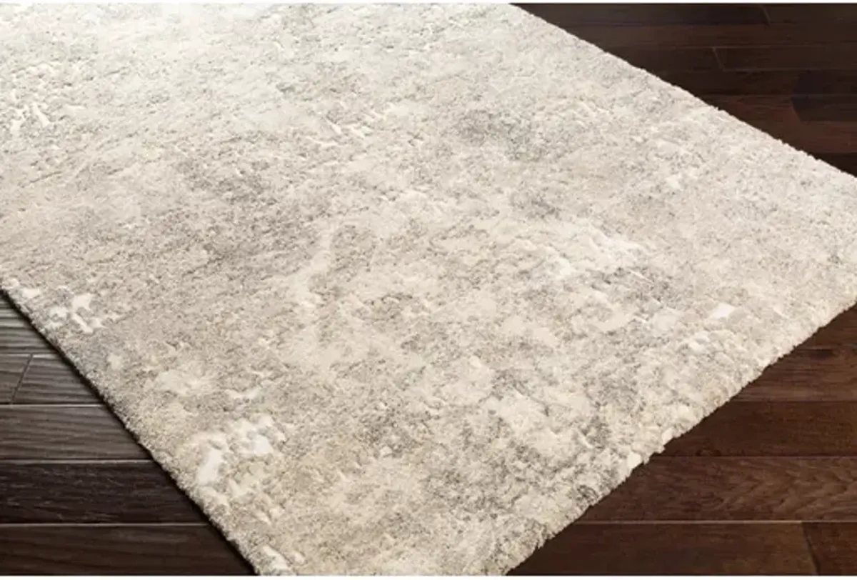 Surya Tuscany Beige 8'x10' Area Rug