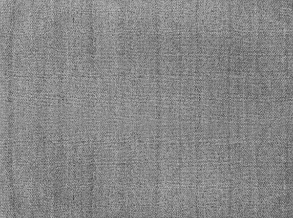 Paani Rug