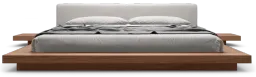 Ecru Fabric color