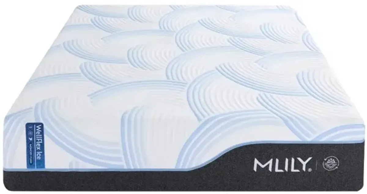 Wellflex Ice 1 Firm Mattress, Twin XL