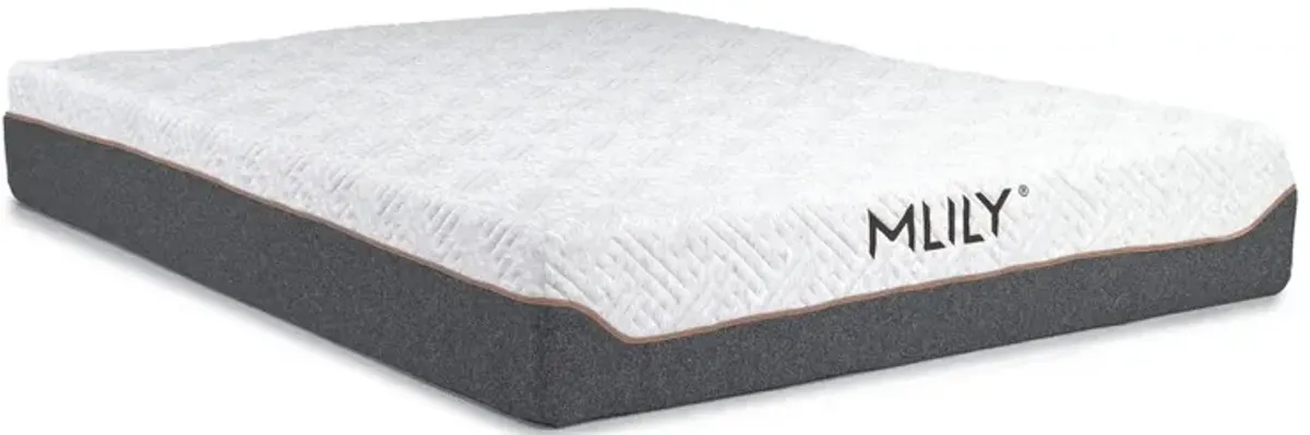 Mlily 11.5 Inch Fusion Supreme Medium Hybrid Mattress, Queen