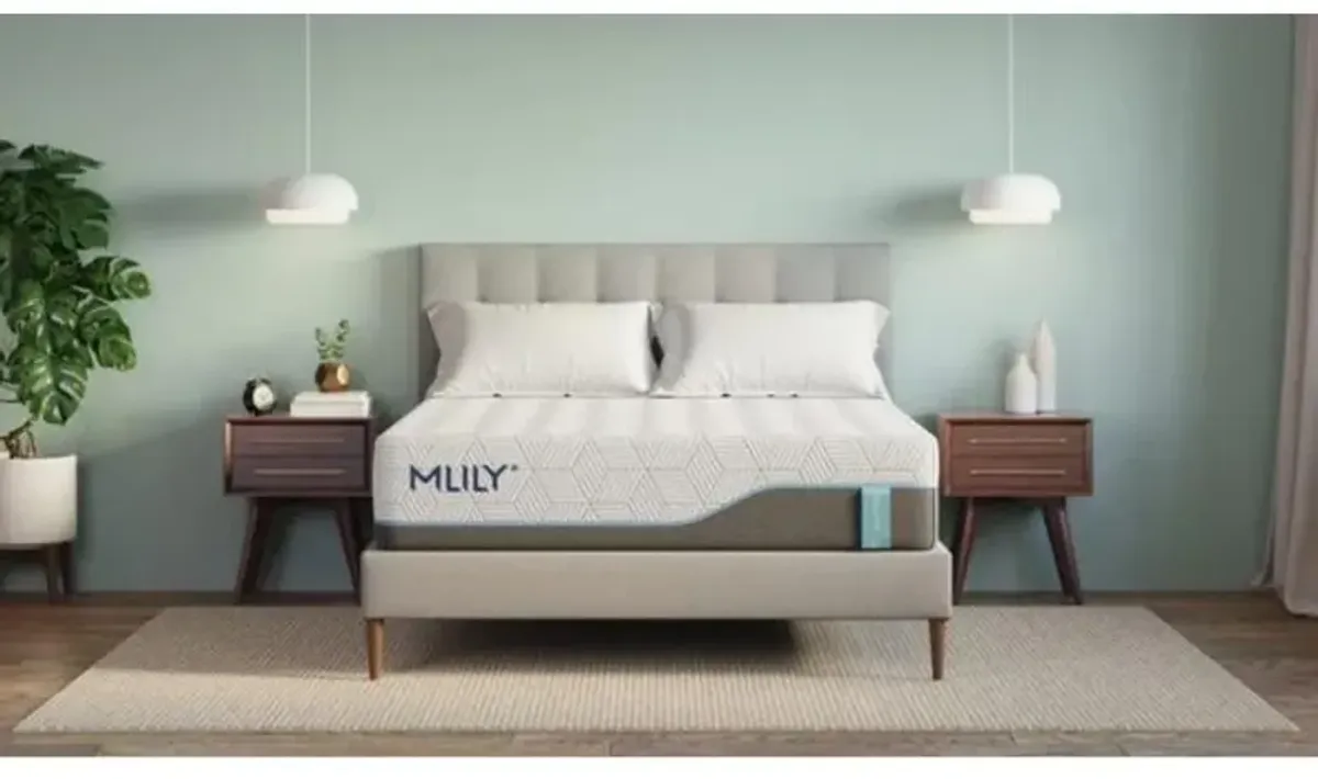 MLILY 13 Inch Harmony Chill 3.0 Plush Mattress, Twin