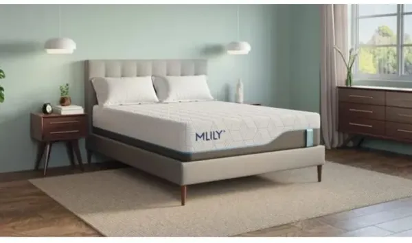 MLILY 13 Inch Harmony Chill 3.0 Plush Mattress, Twin