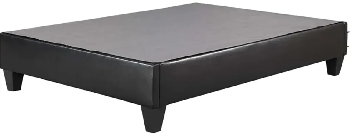 Abby Platform Bed in Black, Full