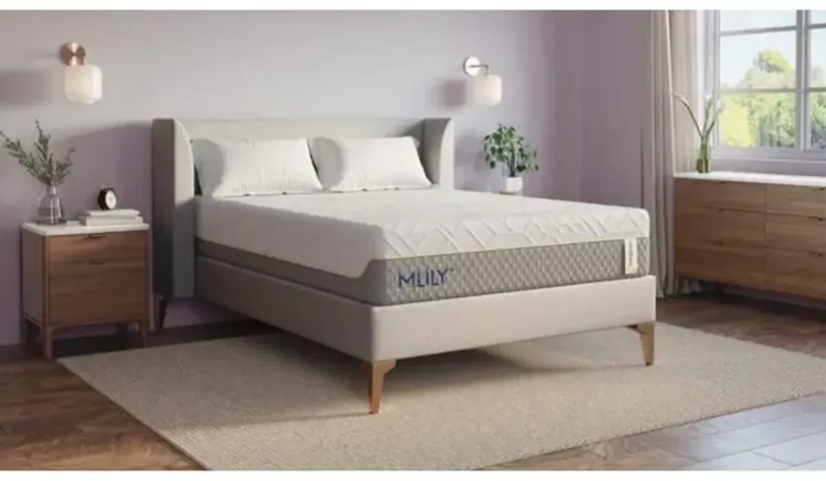 Mlily 12 Inch Wellflex 1.0 Firm Mattress, CA King