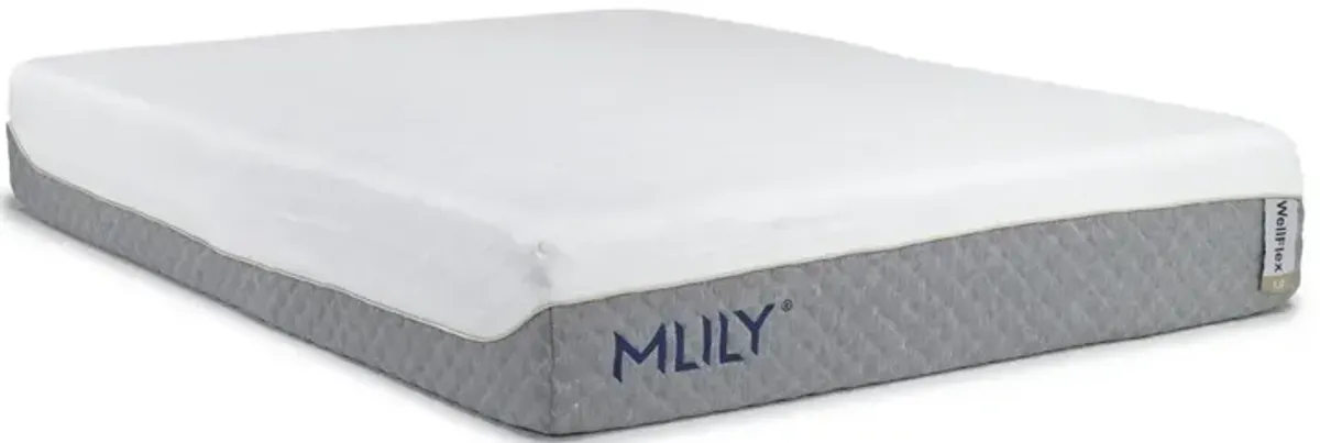 Mlily 12 Inch Wellflex 1.0 Firm Mattress, CA King