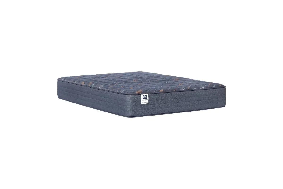 Sealy Warner Medium Tight Top Mattress, Full