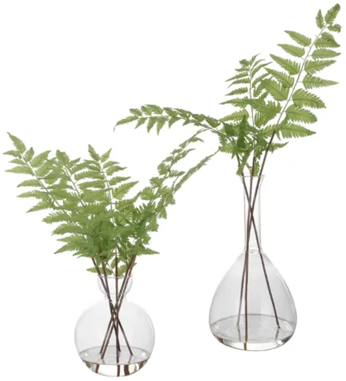 Country Ferns, Set of 2