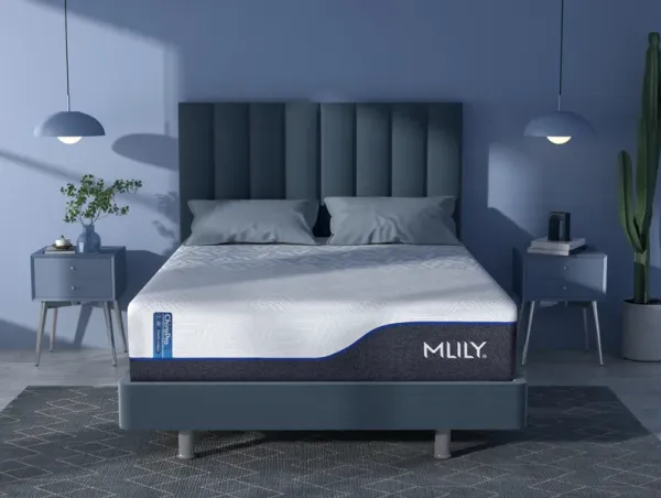 Chiropro 3.0 Plush Mattress, CA King