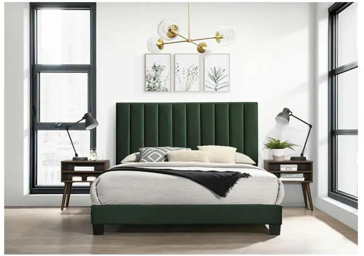 Coyote Upholstered Bed & 2 Nightstands in Emerald, Queen