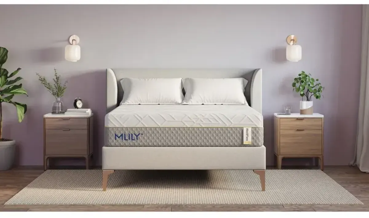 Mlily 12 Inch Wellflex 2.0 Medium Mattress, Full