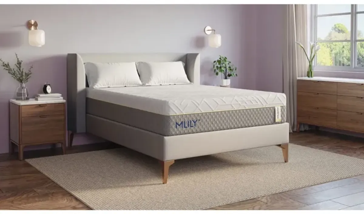 Mlily 12 Inch Wellflex 2.0 Medium Mattress, Full