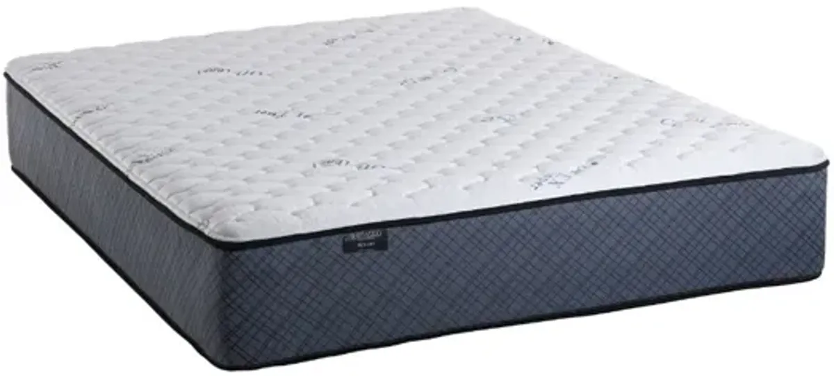 Sherwood Foam Encased Firm Mattress, Full