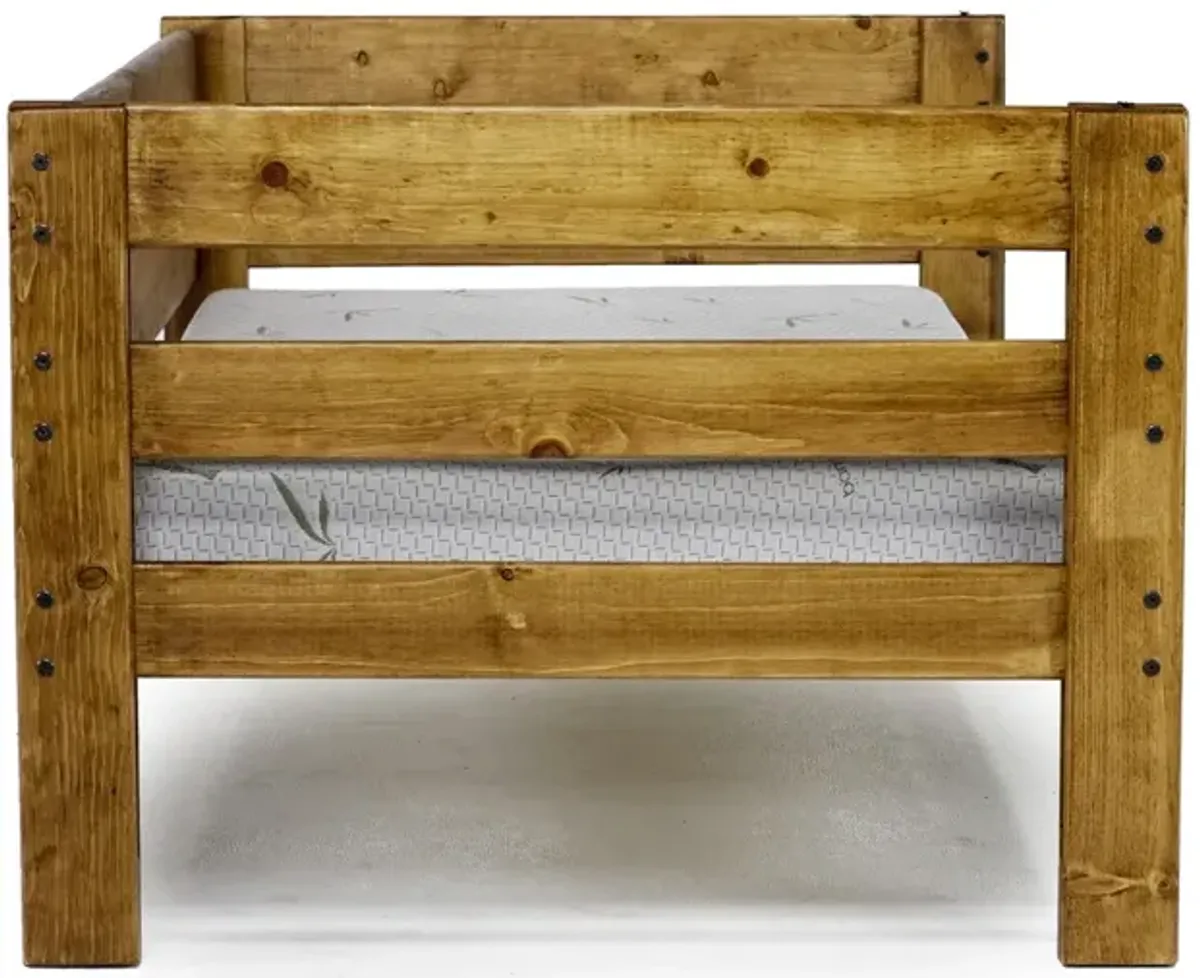 Young Pioneer Daybed in Natural, Twin