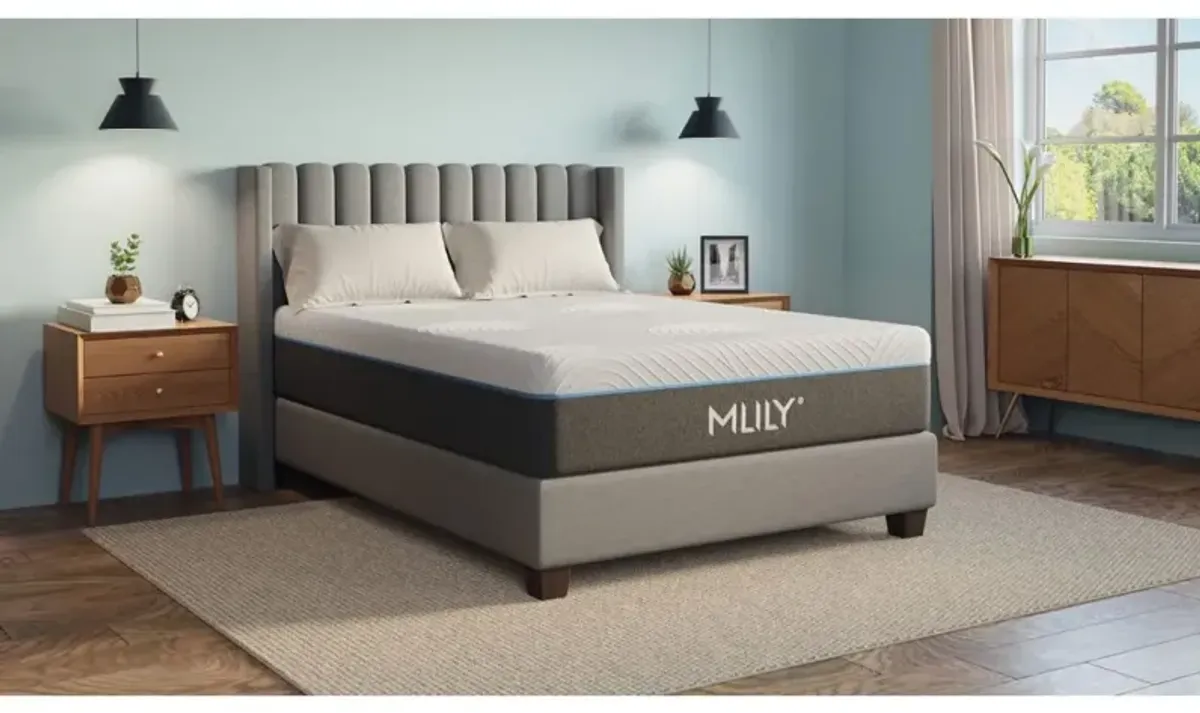 Mlily 12.5 Inch Fusion Luxe Plush Hybrid Mattress, Queen