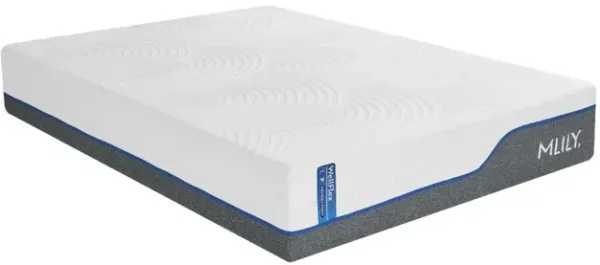 Wellflex 1 Biobreeze Firm Mattress, CA King