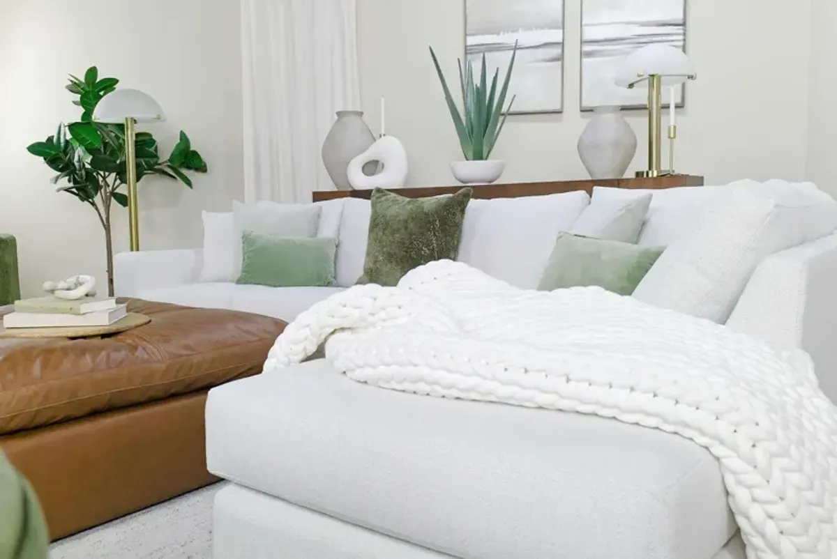Evarado Aloe Planter