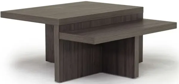 Zendex Coffee Table & End Table Set in Brown