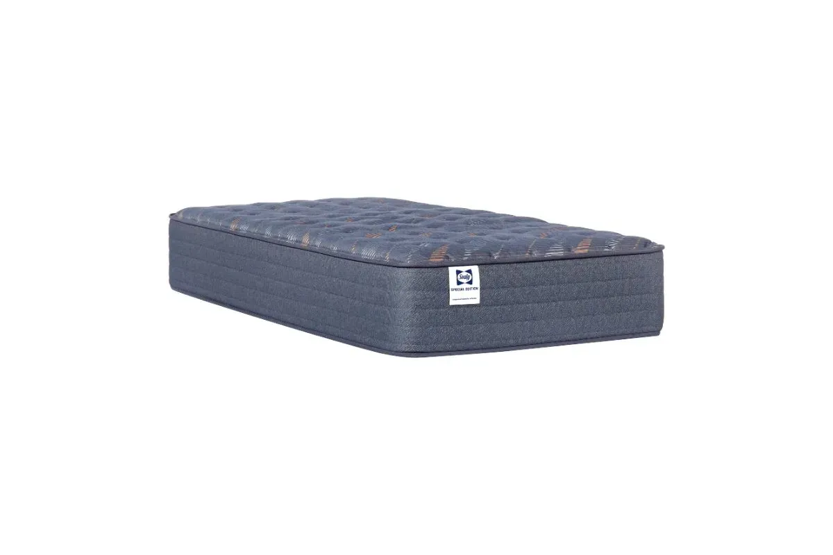 Sealy Warner Medium Tight Top Mattress, Twin