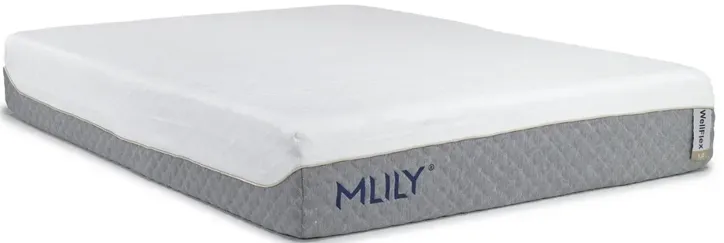 Mlily 12 Inch Wellflex 1.0 Firm Mattress, Full