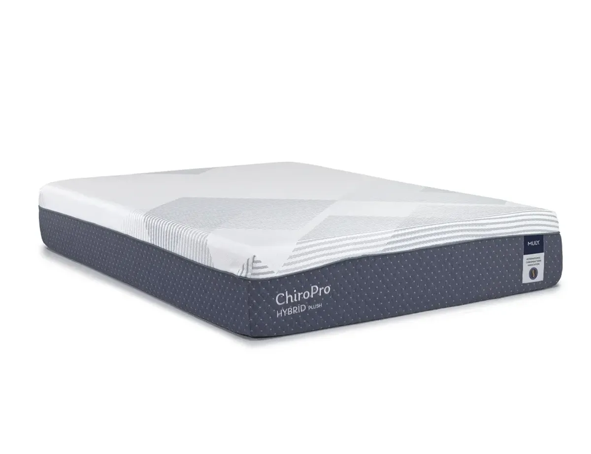 Mlily ChiroPro Hybrid Plush Mattress, Full