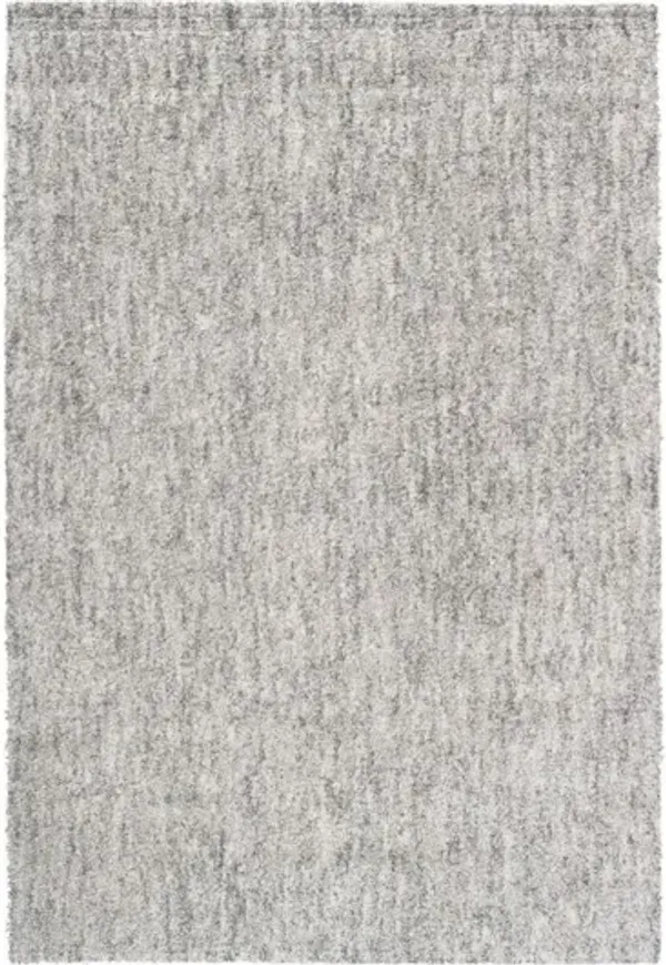 Granada Rug in Gray/Ivory/Beige, 5’ x 8’