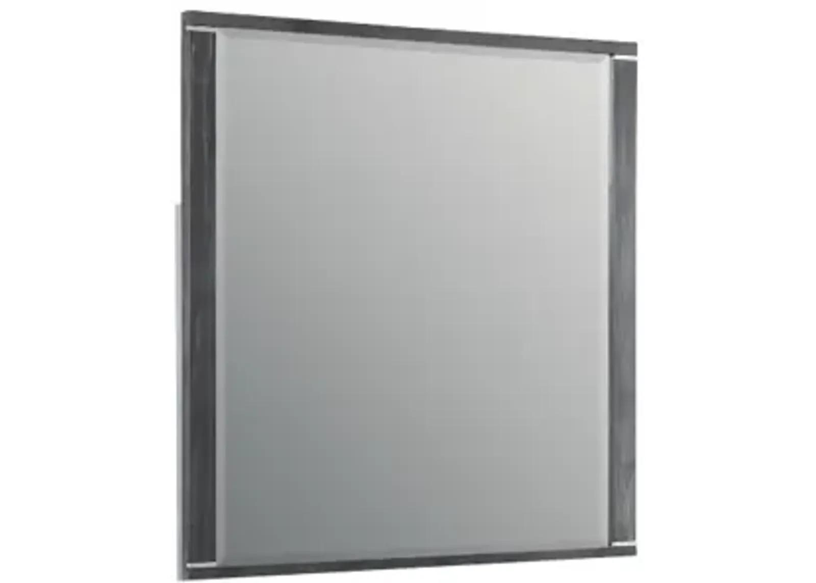 Odessa Mirror in Charcoal Gray