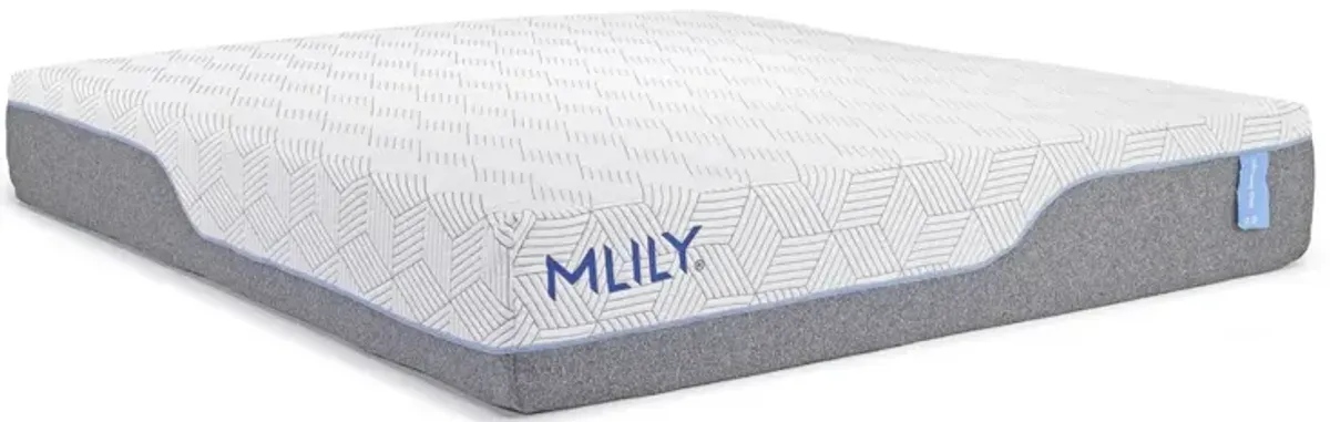 Mlily 13 Inch Harmony Chill 2.0 Medium Mattress, Eastern King