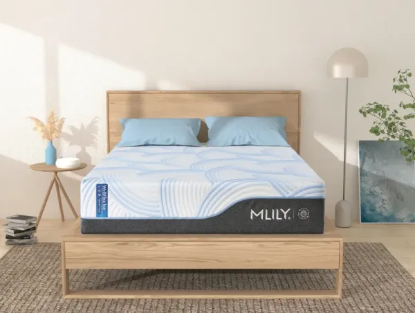 Wellflex Ice 1 Firm Mattress, Eastern King