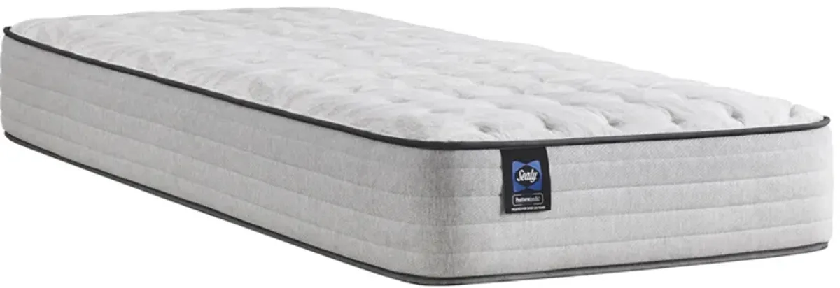 Sealy 12 Inch Spring Bloom Medium Mattress, Twin XL