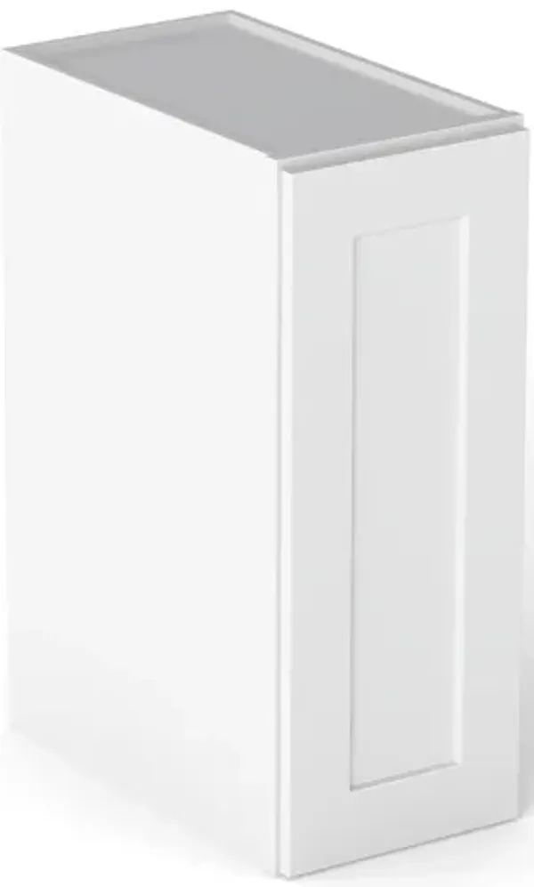 Elegant 1-Door Wall Cabinet w/ 2 Shelves in White, 21in x 30in