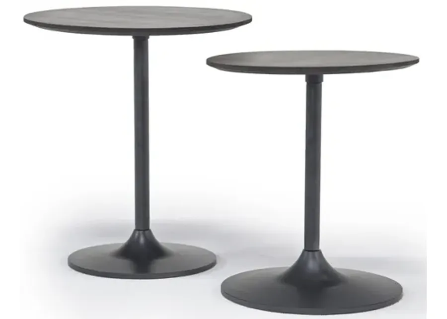 Remy Nesting Table in Gunmetal/Dark Brown Set of 2