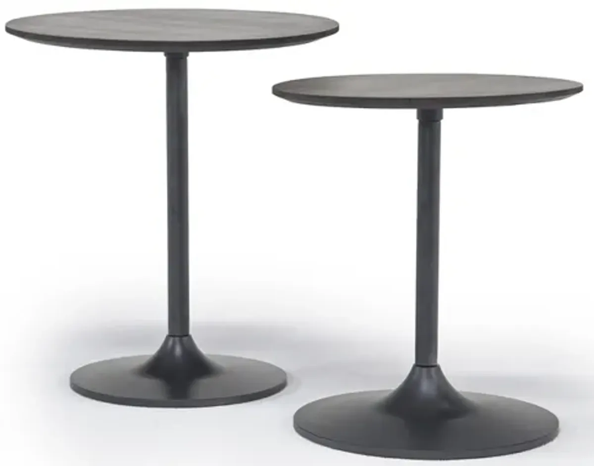 Remy Nesting Table in Gunmetal/Dark Brown Set of 2