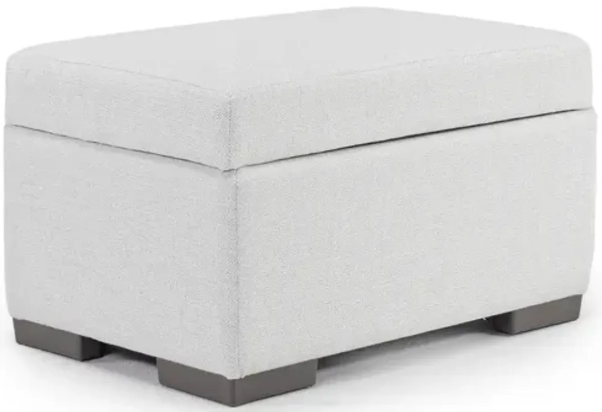 Dennon Storage Ottoman in Sea Salt