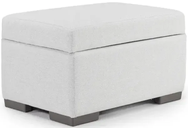 Dennon Storage Ottoman in Sea Salt