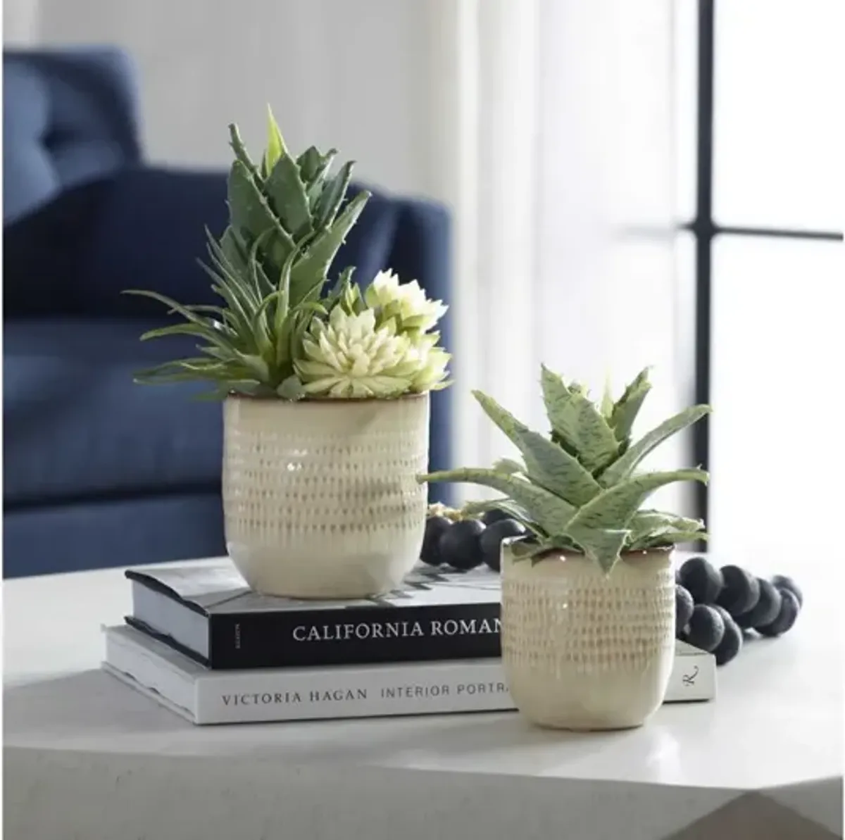 Seaside Succulents, Set of 2